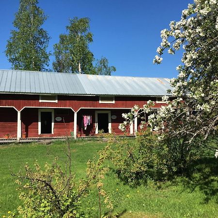 Ollilan Tupa Joensuun Laehellae Bed and Breakfast Ylämylly Buitenkant foto