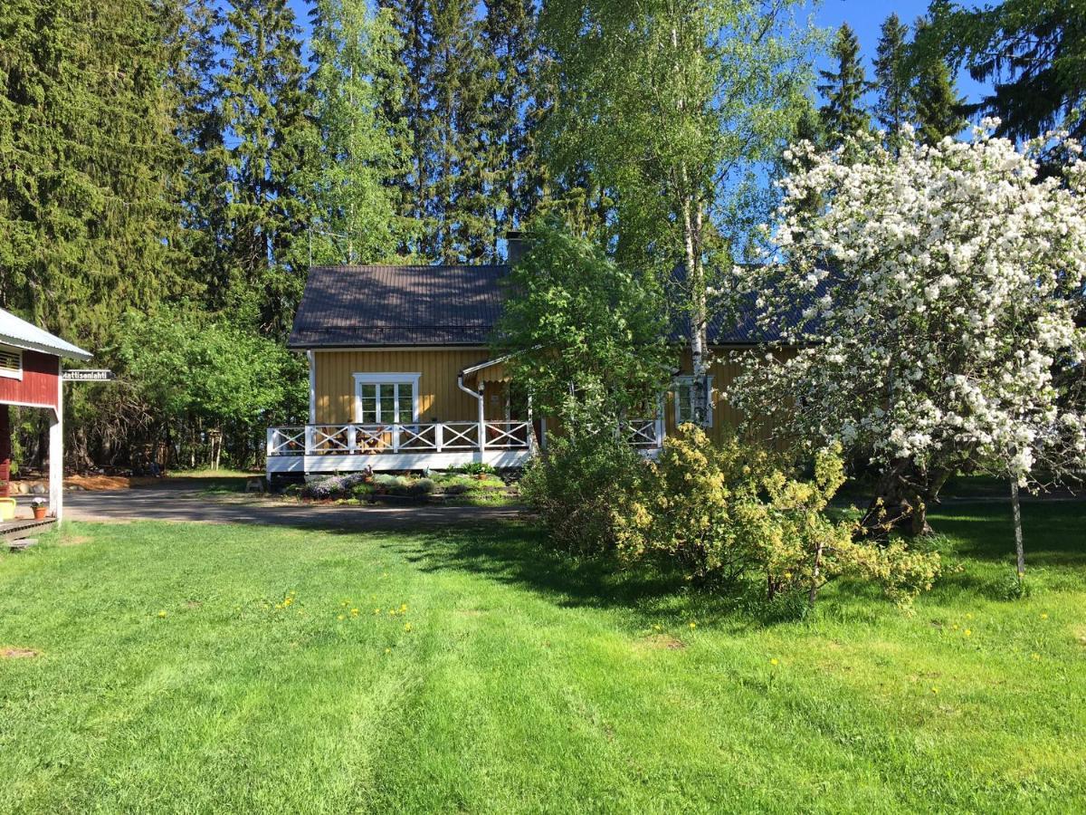 Ollilan Tupa Joensuun Laehellae Bed and Breakfast Ylämylly Buitenkant foto